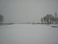 Auschwitz winter panorama